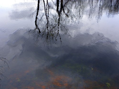 Looking Under Water