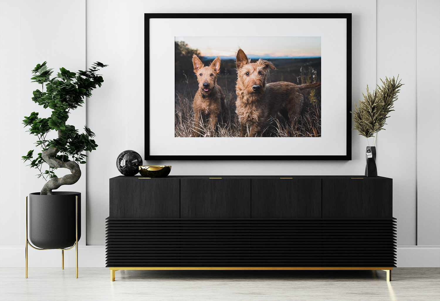 aubri poon photography specializing in pet portraiture