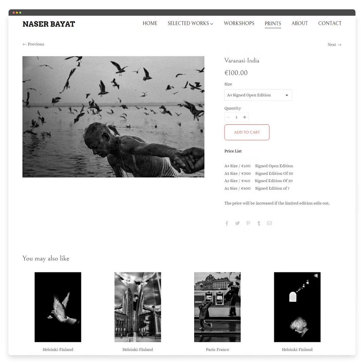 Image du site Web du portfolio de photographies de Naser Bayat
