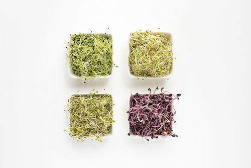 Microgreens