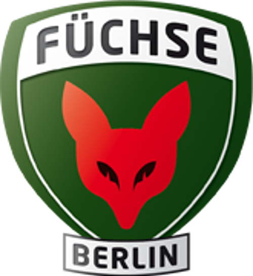 "Handball f&uuml;r Zuhause: Ein spannendes Handballabenteuer."