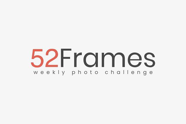 10% off all Patron Membership plans - 52Frames Weekly Photography Challenge Pixpa Theme