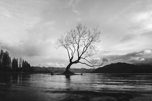 Photographie en noir et blanc - Les 10 meilleurs conseils pour les photos en noir et blanc