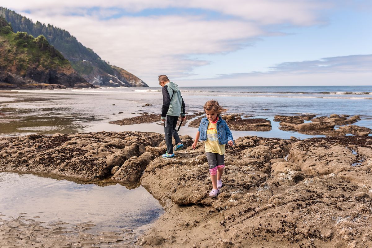 tide-pooling adventure looking for sea life with cranberry twp, pa newborn photographer