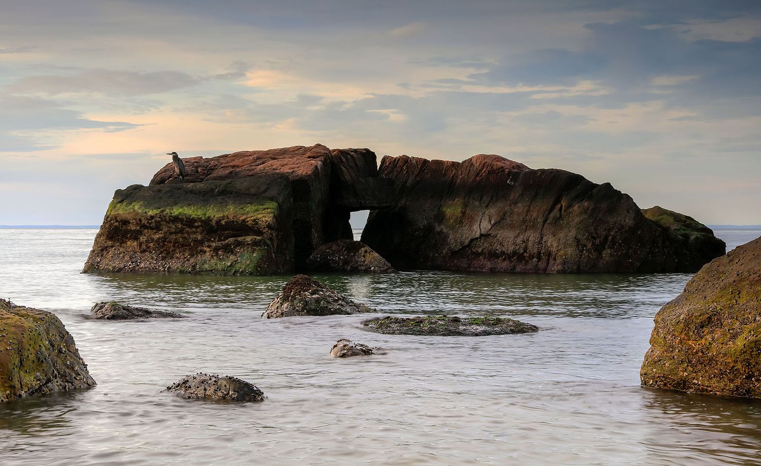 ALISON PERRY PHOTOGRAPHY