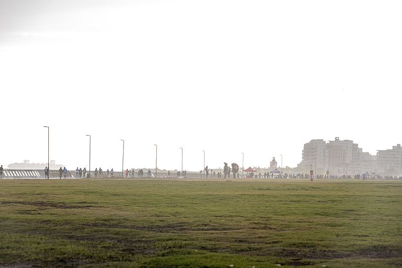 Cape Town Festival of Running 2024