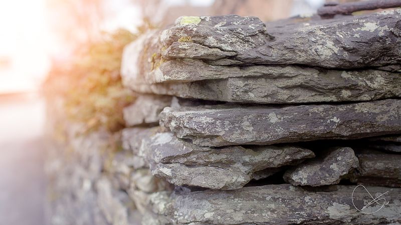 Studioet stengt onsdag 23. mars