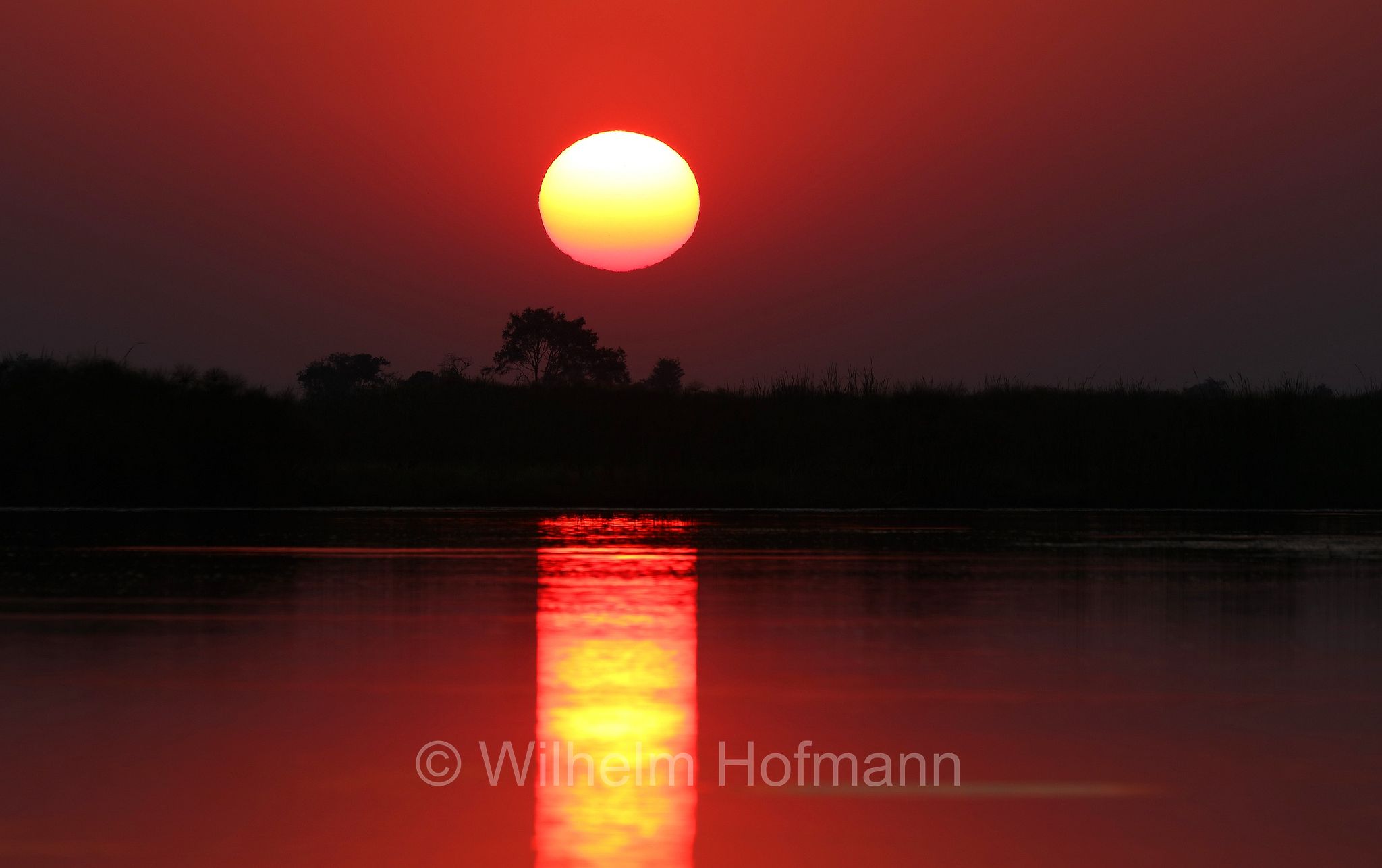 Okavango Delta, Okavango Grassland, Botswana, Republik Botsuana