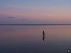 Midweek Oostelijke Waddenzee 5 dagen (4 - 8 mei 2026)