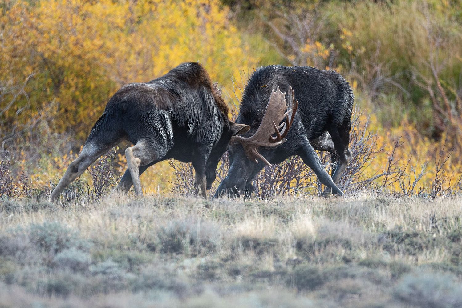 Nick Julian Photography