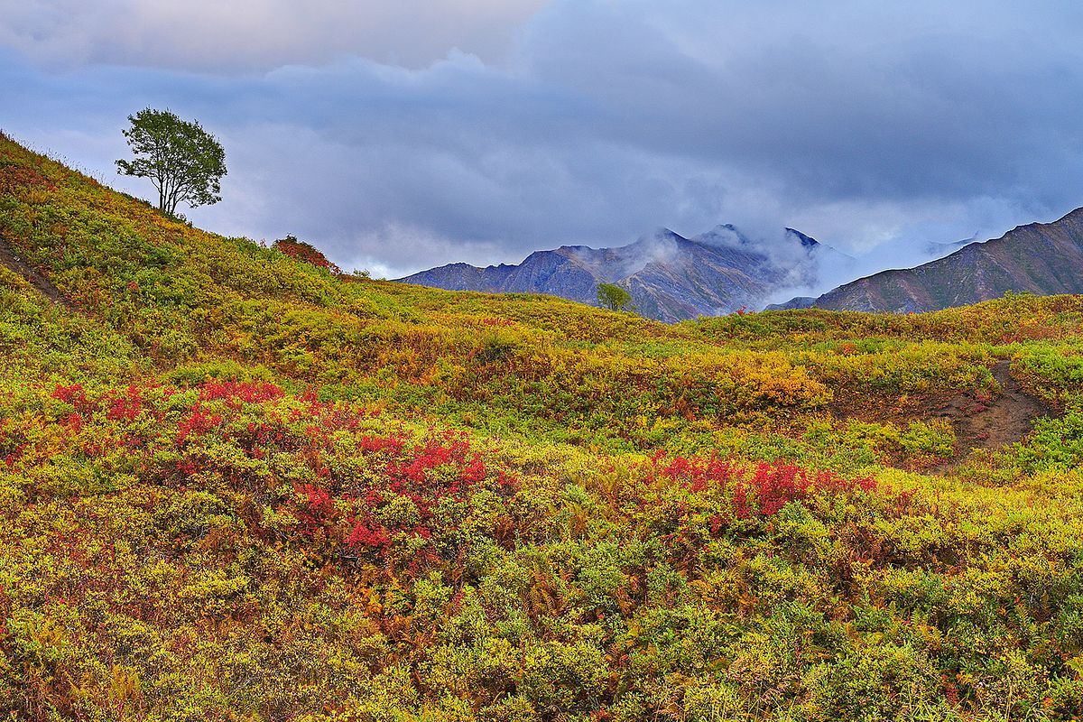 Fish Hook Trail, Hatcher Pass, Alaska Gallery | Lightscapes Nature ...