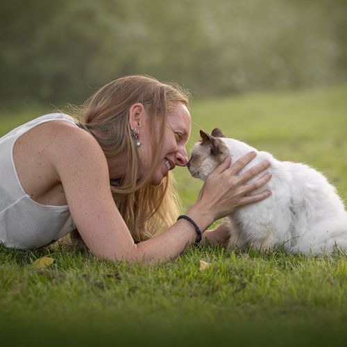 Eindelijk die perfecte foto van jouw kat of kitten!