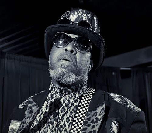 Live Gigs & Festivals