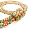 SwiftRelease™ Agility Lead + Collar - Citrus Splash - Pre-Made