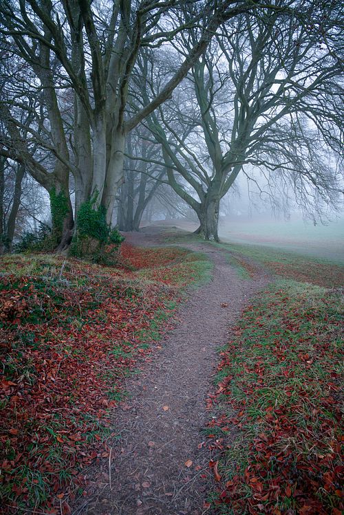 Ring Road at Old Sarum