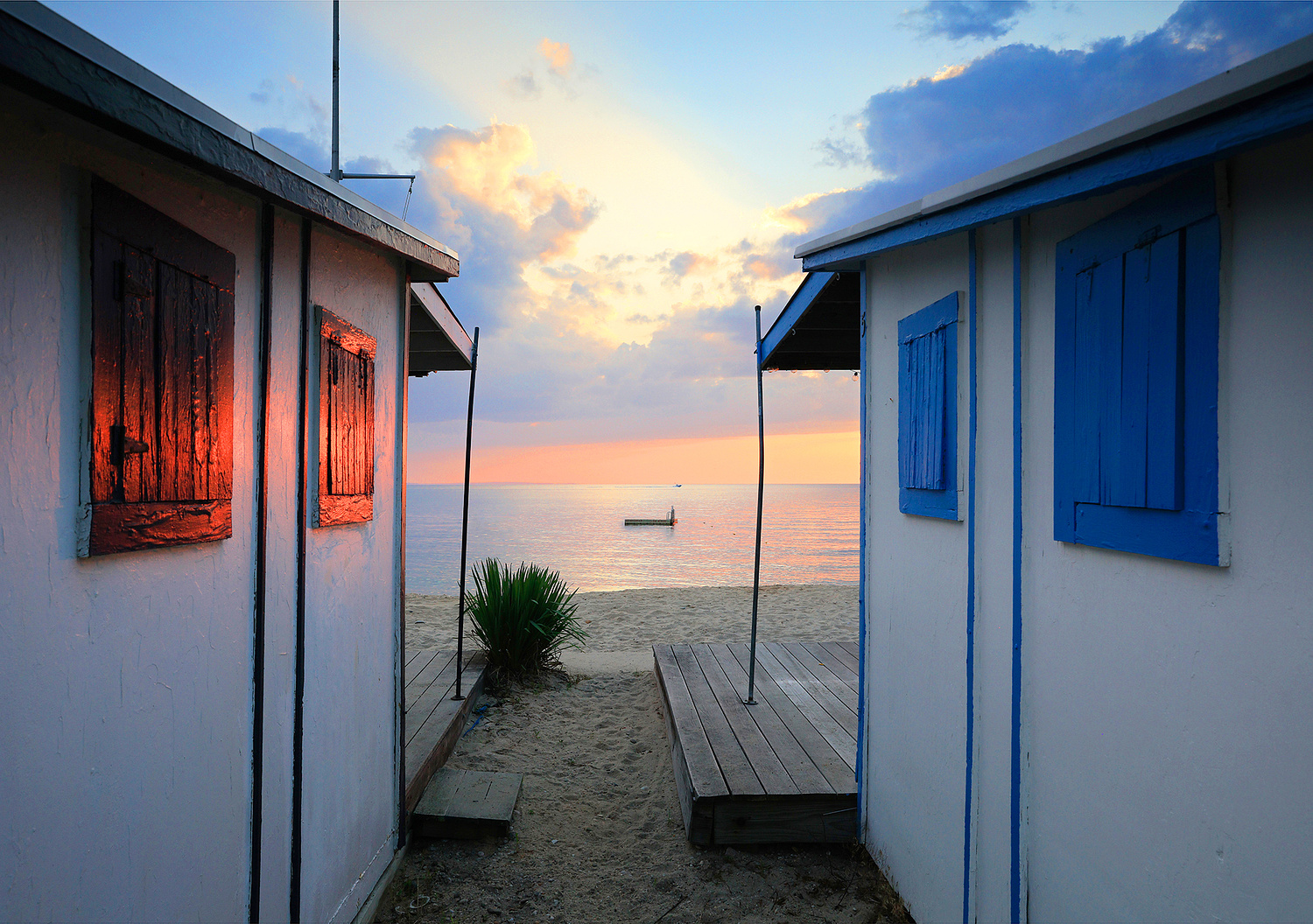 ALISON PERRY PHOTOGRAPHY