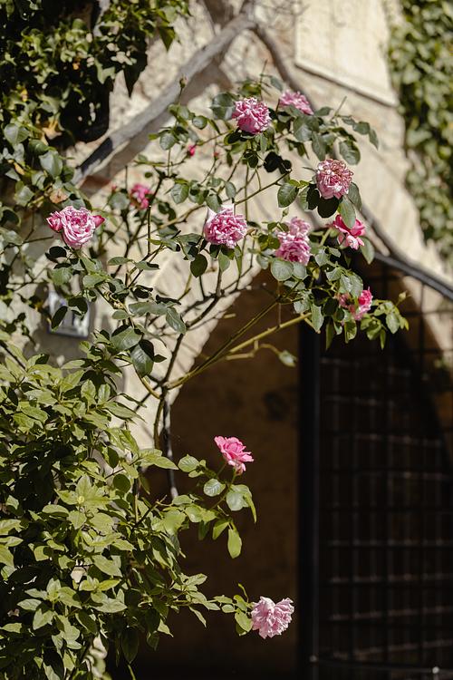 Allestimenti floreali eleganti matrimonio dimora storica Cingoli Marche