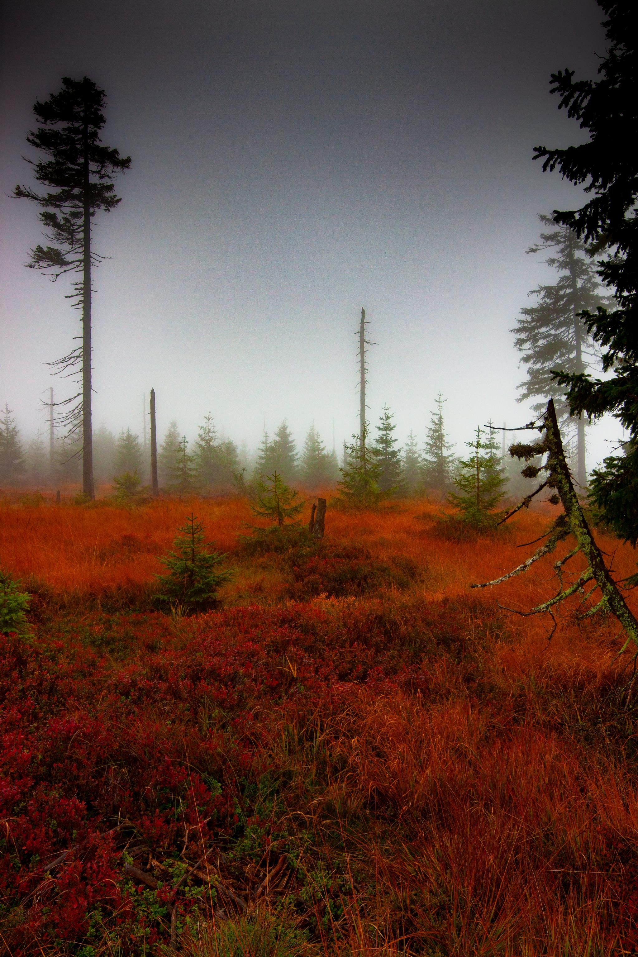 Atmosphere