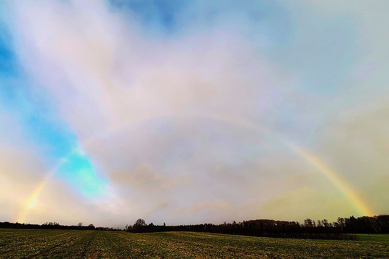 Detsember ilma lumeta ja vaevu nähtav vikerkaar