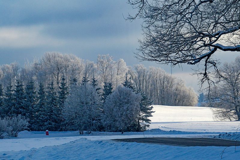 Põhjamaise eestlastele toob alati rõõmu püsivalt maha sadanud lumi.