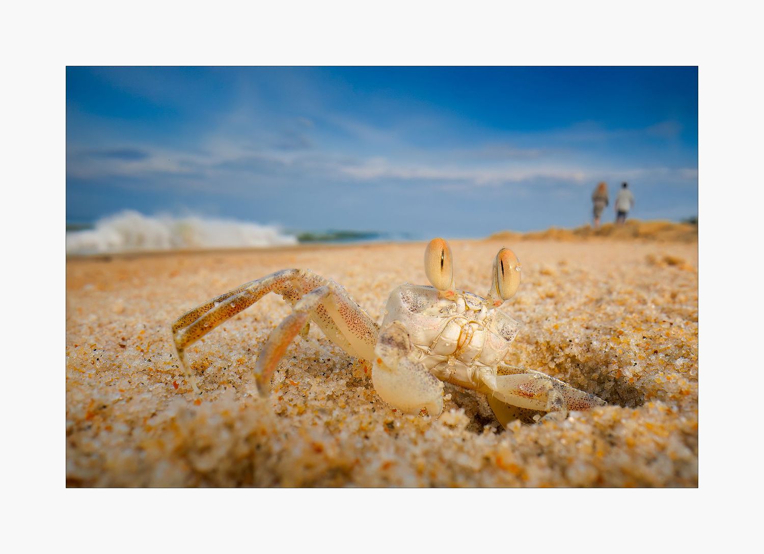 Andr&eacute; J Fanthome