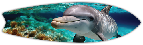 Dolphin Smile