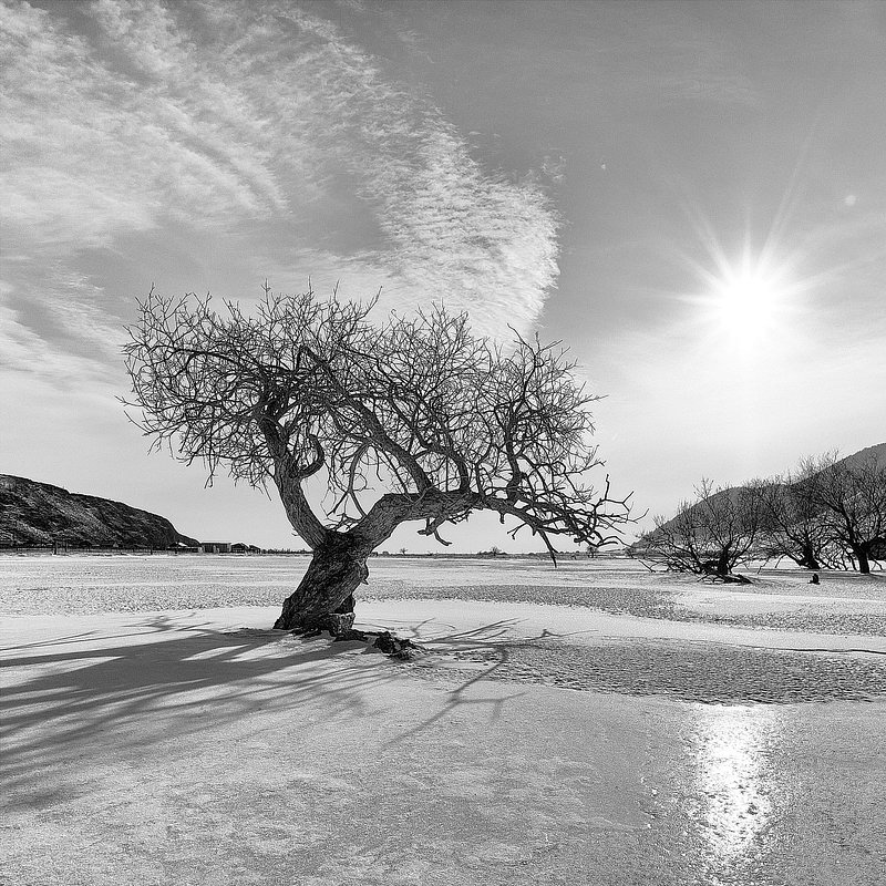 Overlevende bij Baikal