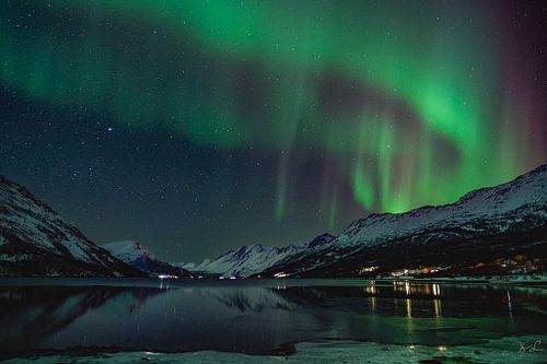 Dancing Aurora over Ullsfjord