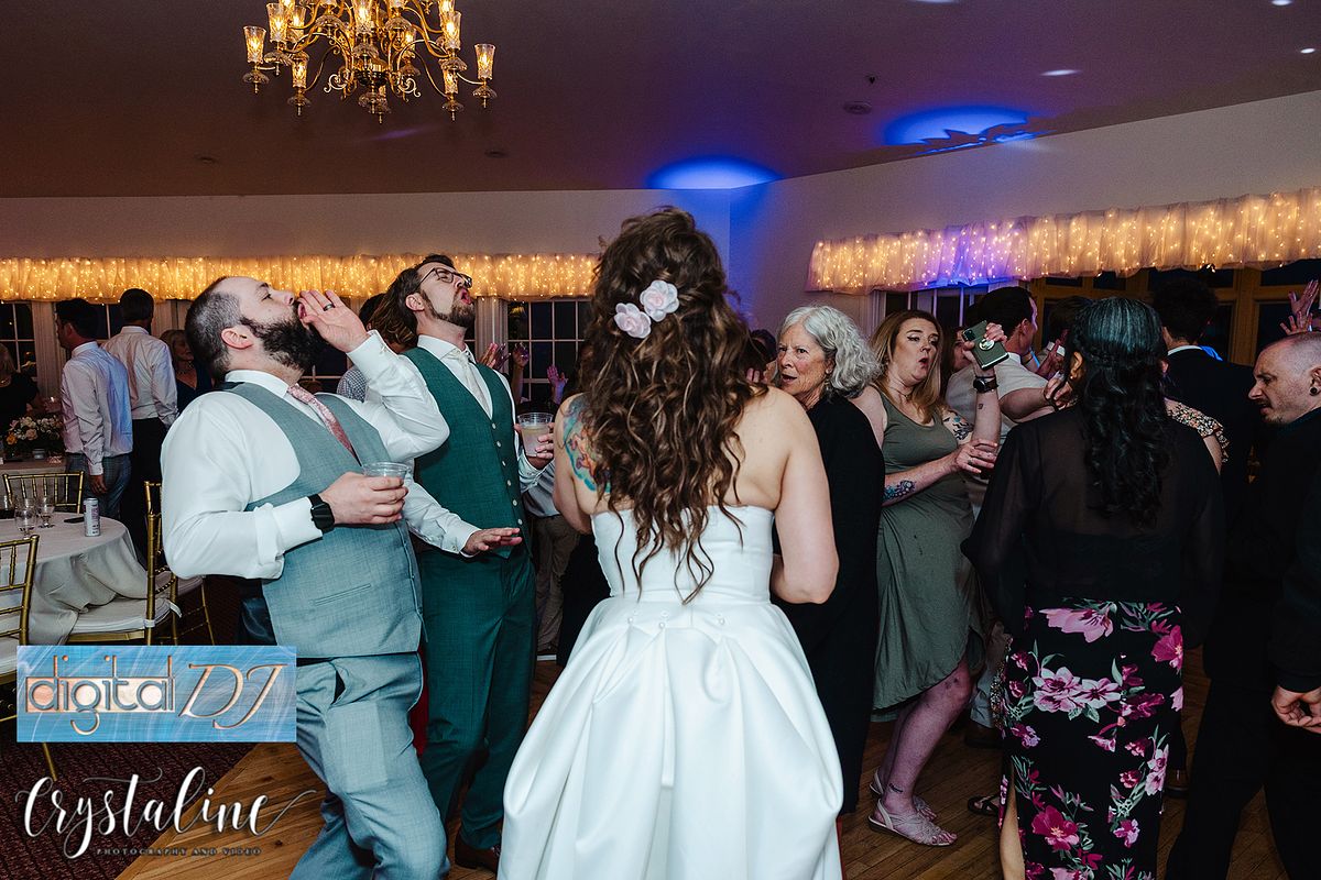 More Dancing with Digital DJ