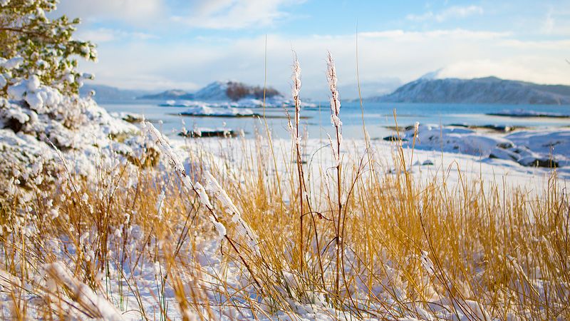Studioet stengt torsdag og fredag