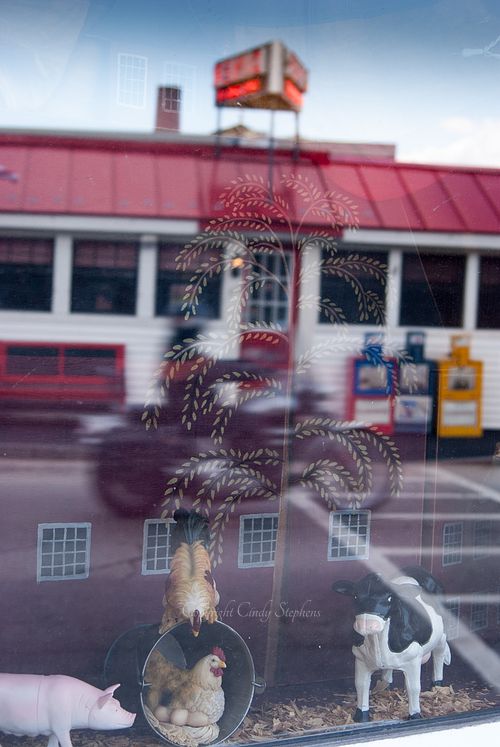 Motorcycle passing by a classic New England diner, reflected in the window featuring small toy farm animals in Milford, New Hampshire.