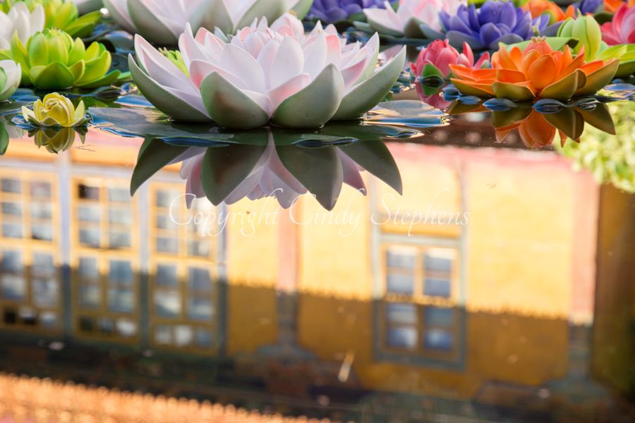 Lotus flowers with the Johkang Temple reflected in their water