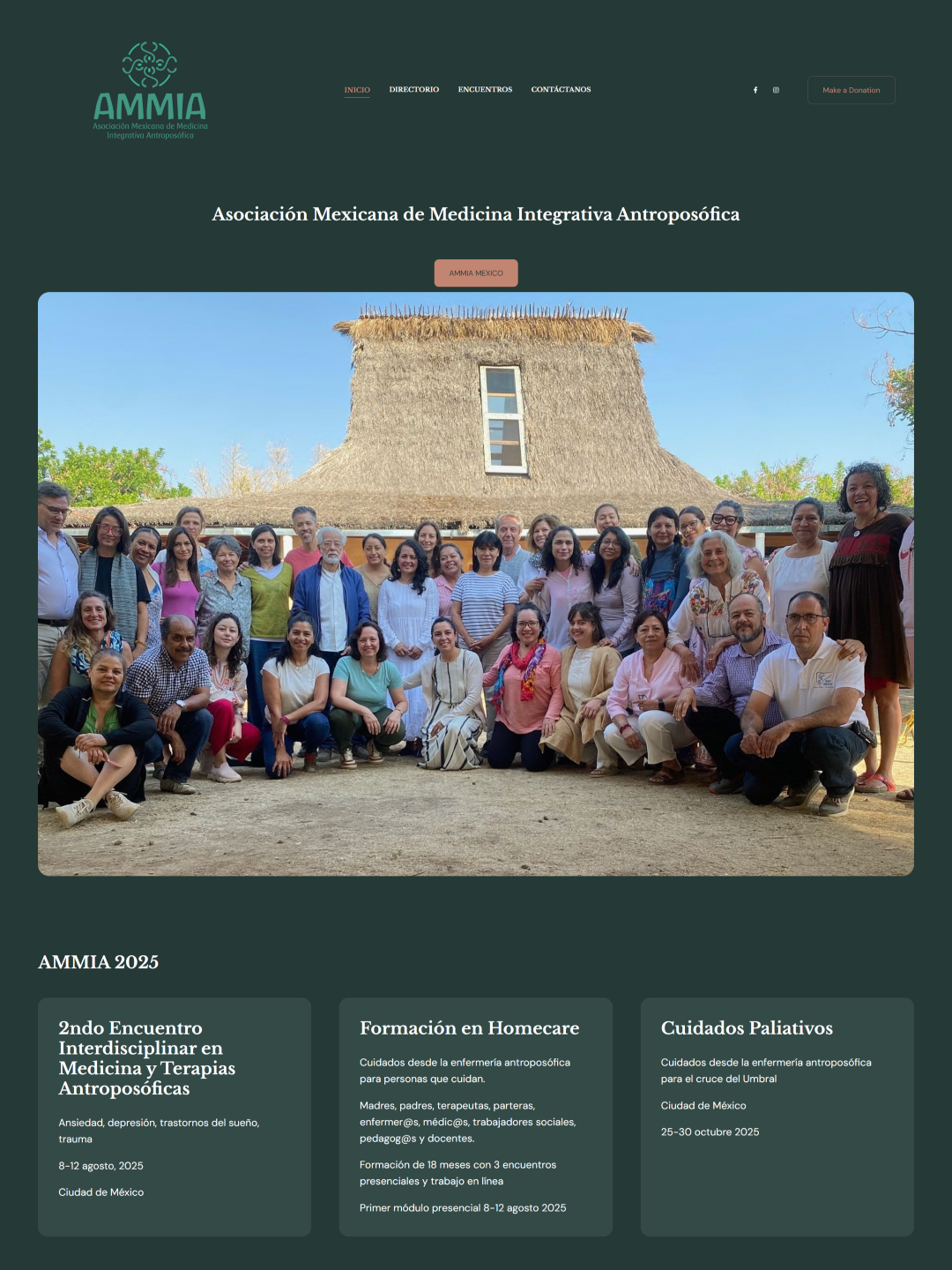 Ammi Mexico's Non Profit website Portfolio