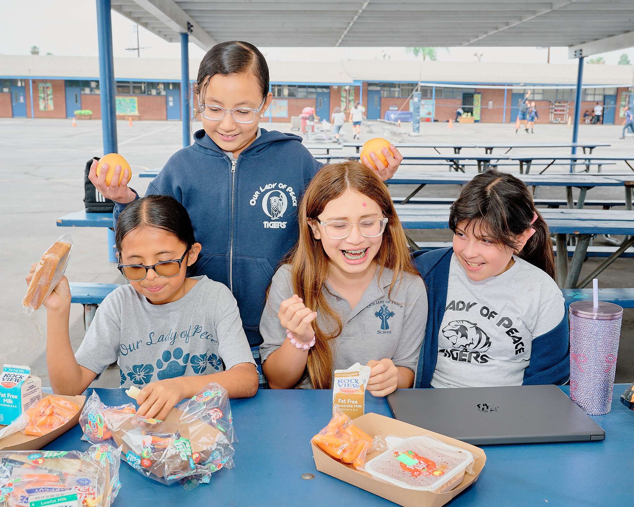 OLPEACESCHOOL