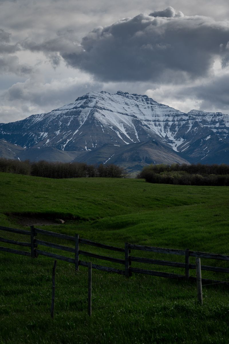 A farmer's field outside Waterton Lakes National Park