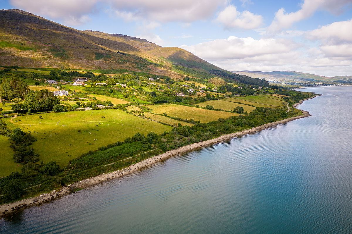 Nirvana, North Commons, Carlingford