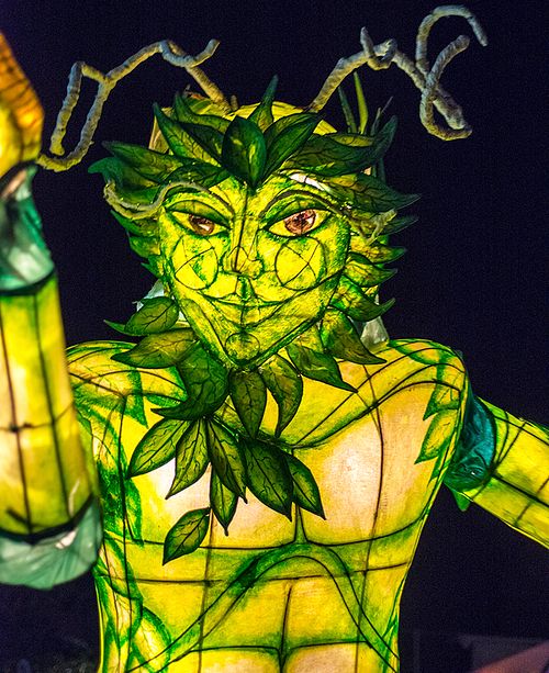 Lantern Parade. Lismore.