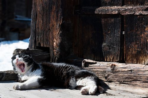 Kapelle Wilder Geschinen