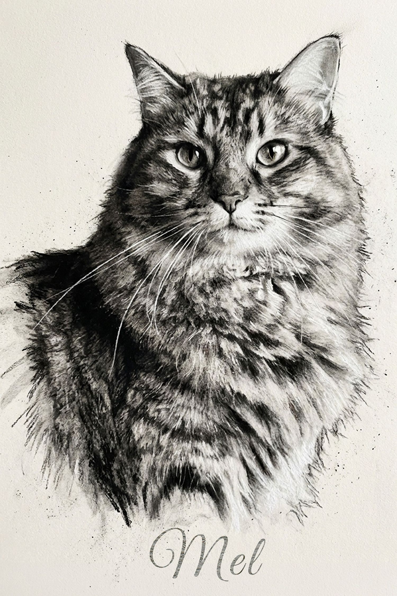 A Magia do Carv&atilde;o