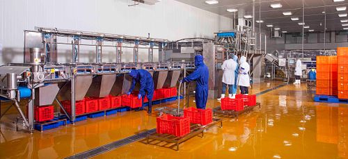 Laitram Machinery, USA