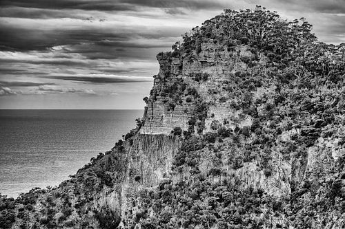 Black & White, minimalist, monochromatic, tonal, texture, trees, cliffs, ocean, shore, coast, Tasmania, Australia, Hobart, Yellow, Bluff,