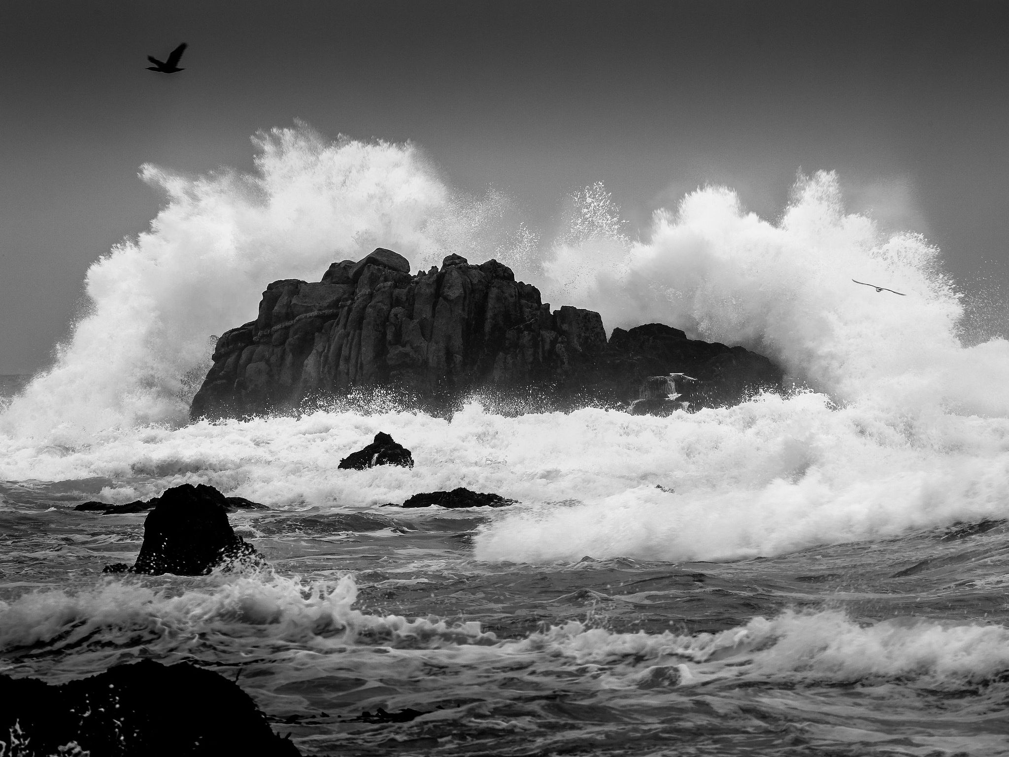 Surf Explosion  - Pacific Grove, California