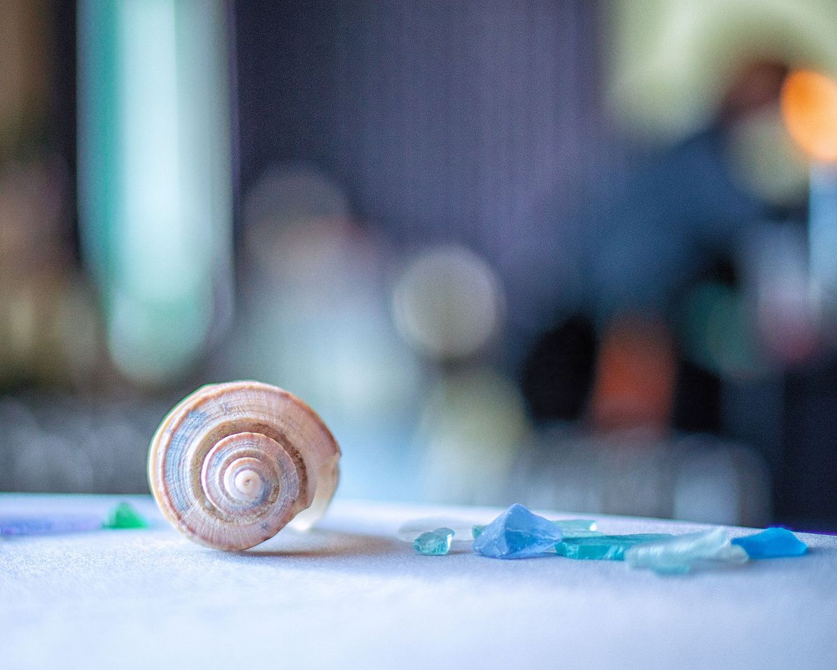 A fine-art macro detail shot of a seashell and sea glass on a table, utilizing soft bokeh and natural coastal light at Atlantic Sands.