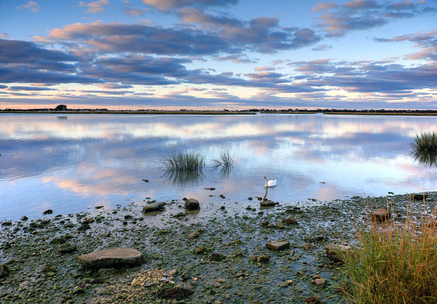 ALISON PERRY PHOTOGRAPHY