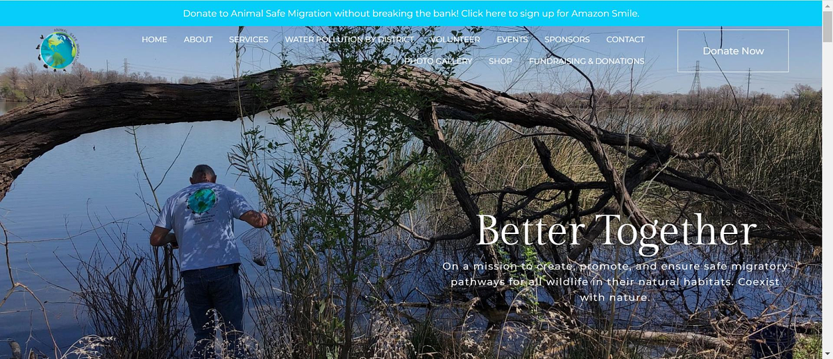 sito web non profit di Animal Safe Migration