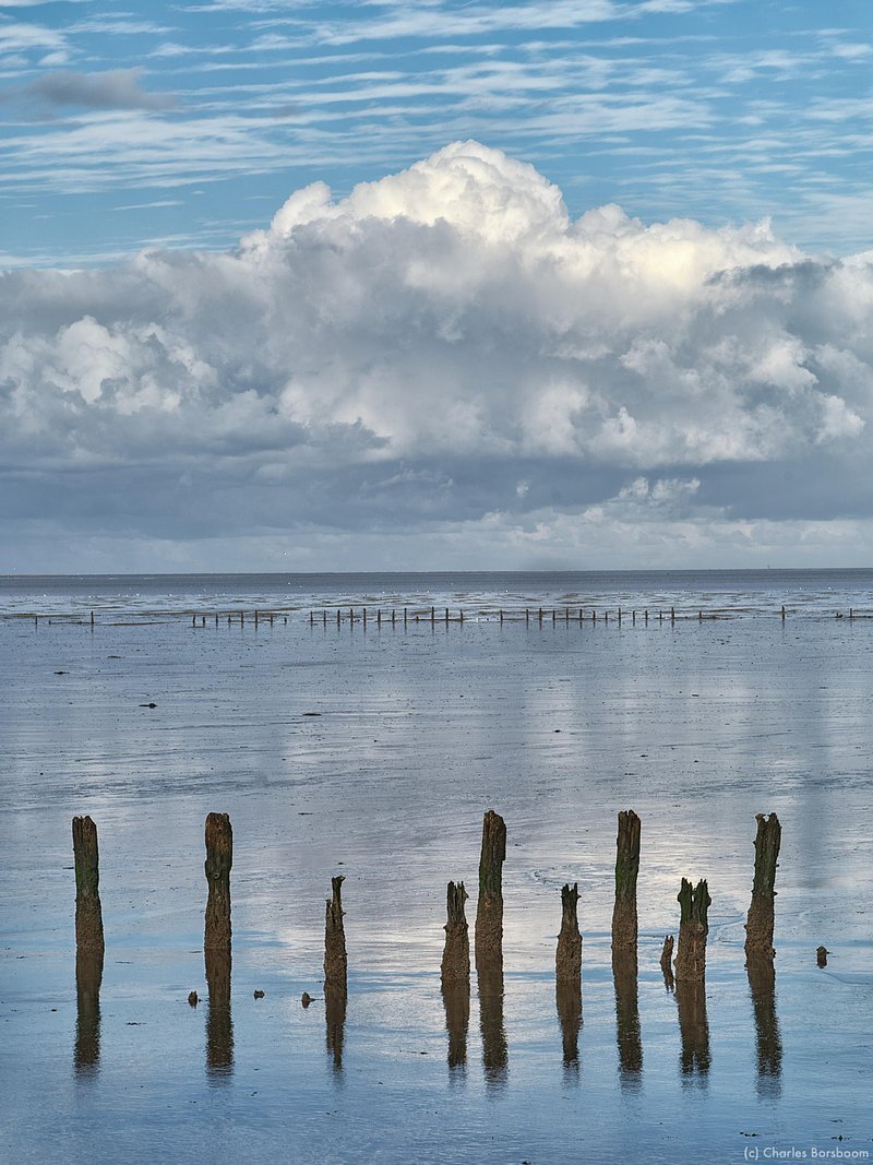 The Next Step (20 - 22 november 2026)