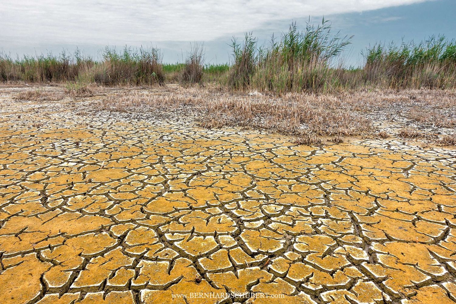 Lake Neusiedl dry mud