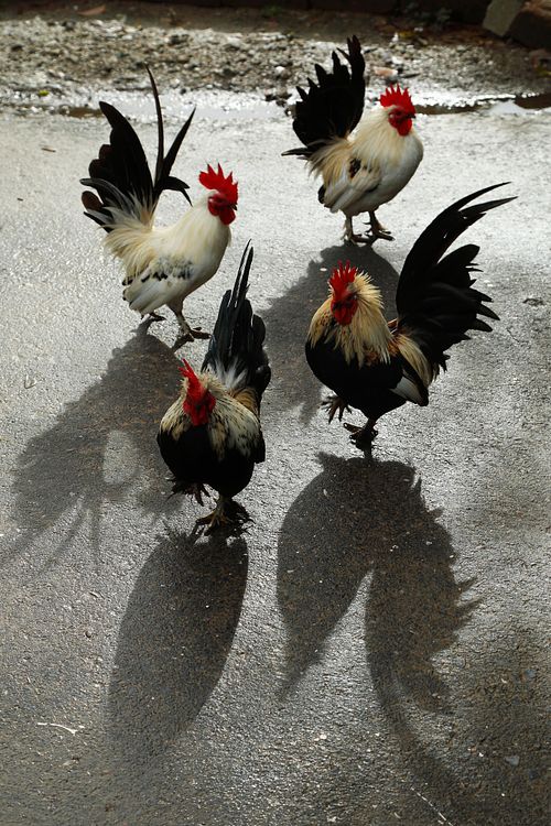 Best Travel Photographer in Delhi NCR