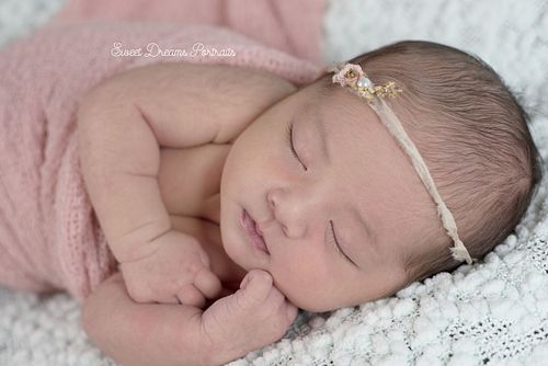 Newborn Photography Studio