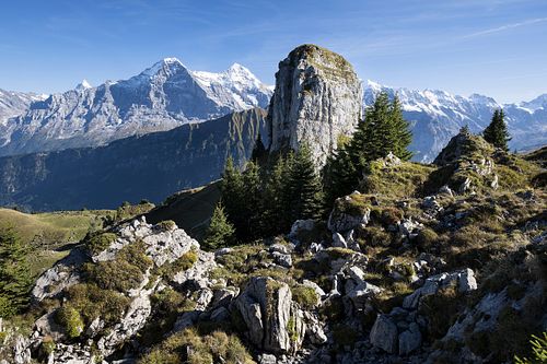 Auf der Schynige Platte